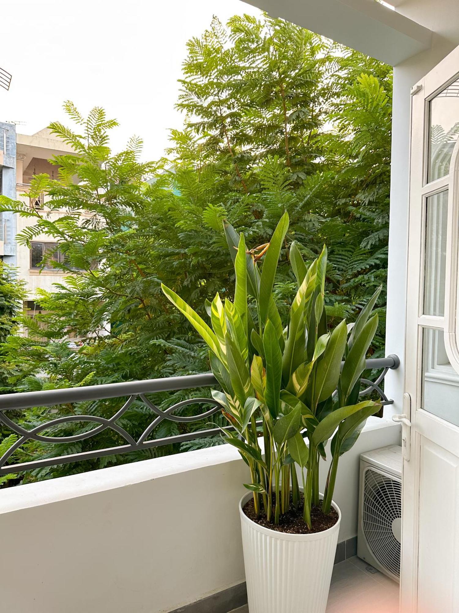 Modern Calmette Home - Central Hcmc Comfort & Convenience *